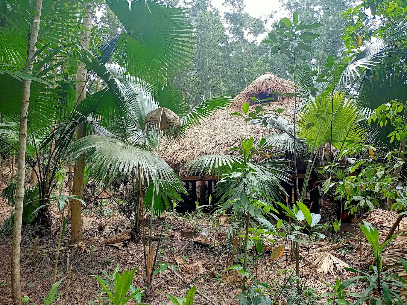 2-Day Thai Hai Eco-Village Cycling Tour